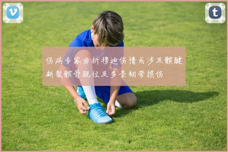 伤病专家分析穆迪伤情或涉及髌腱断裂髌骨脱位及多条韧带损伤